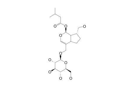 8-EPI-DIHYDRO-PENSTEMIDE