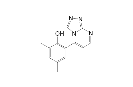 5-(2-Hydroxy-2,4-dimethylphenyl)[1,2,4]triazolo[4,3-a]pyrimidine