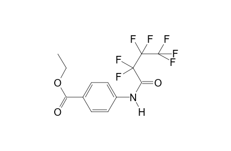 Benzocaine HFB