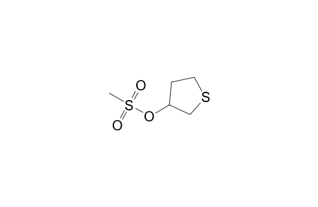 (+-)-3-Methylsulfonyloxytetrahydrothiophene