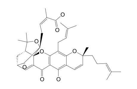 (_)-GAMBOGIC_ACID