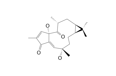 15-EPI-4E-JATROGROSSIDENTADION