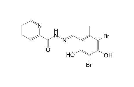 2-pyridinecarboxylic acid, 2-[(E)-(3,5-dibromo-2,4-dihydroxy-6-methylphenyl)methylidene]hydrazide