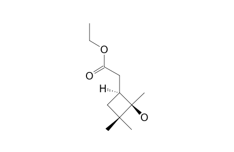 ETHYL-(2-HYDROXY-2,3,3-TRIMETHYL-CYCLOBUTYL)-ETHANOATE