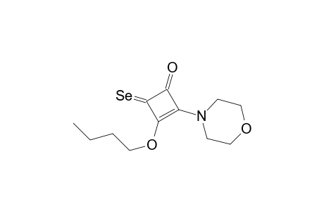 2-Cyclobuten-1-one, 3-butoxy-2-(4-morpholinyl)-4-selenoxo-