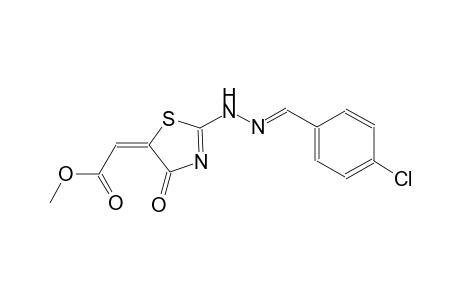 methyl (2E)-(2-[(2E)-2-(4-chlorobenzylidene)hydrazino]-4-oxo-1,3-thiazol-5(4H)-ylidene)ethanoate