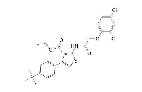 ethyl 4-(4-tert-butylphenyl)-2-{[(2,4-dichlorophenoxy)acetyl]amino}-3-thiophenecarboxylate
