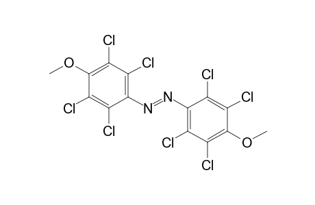4,4'-Dimethoxy-octachloro-azobenzene