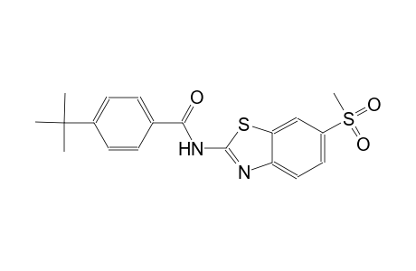 4-tert-butyl-N-[6-(methylsulfonyl)-1,3-benzothiazol-2-yl]benzamide