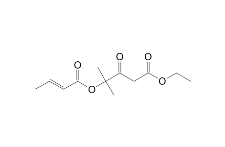 ETHYL-4-[(E)-BUT-2-ENOYLOXY]-4-METHYL-3-OXOPENTANOATE