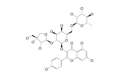 KAEMPFEROL-3-O-[O-BETA-D-APIO-D-FURANOSYL-(1->2)-O-ALPHA-L-RHAMNOPYRANOSYL-(1->6)]-BETA-D-GALACTOPYRANOSIDE