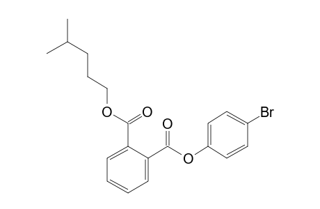 Phthalic acid, 4-bromophenyl isohexyl ester