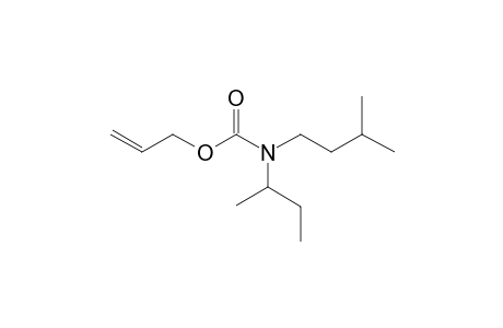 Carbamic acid, N-(2-butyl)-N-(3-methylbutyl)-, allyl ester