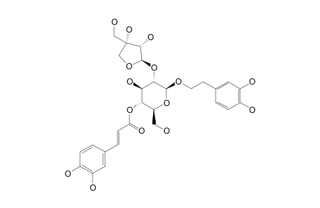 FUCATOSIDE_A;1-O-3,4-(DIHYDROXYPHENYL)-ETHYL-BETA-D-APIOFURANOSYL-(1->2)-4-O-CAFFEOYL-BETA-D-GLUCOPYRANOSIDE