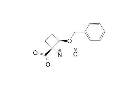 (1R*,2R*)-1-AMINO-2-BENZYLOXYCYCLOBUTANE-1-CARBOXYLIC-ACID-HYDROCHLORIDE