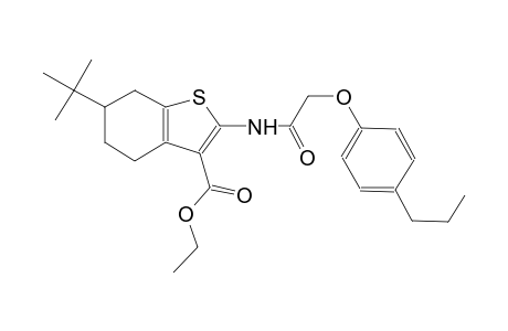 ethyl 6-tert-butyl-2-{[(4-propylphenoxy)acetyl]amino}-4,5,6,7-tetrahydro-1-benzothiophene-3-carboxylate