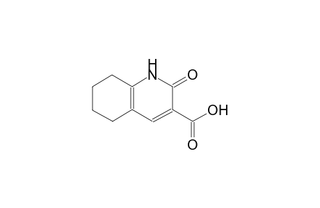 2-oxo-1,2,5,6,7,8-hexahydro-3-quinolinecarboxylic acid