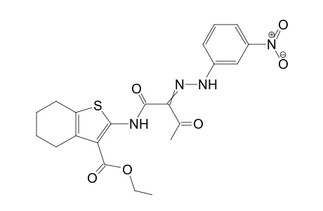 N-(3-Ethoxycarbonyl-4,5,6,7-tetrahydrobenzo[b]thien-2-yl)-2-(3-nitrophenyl hydrazono)-3-oxobutanamide