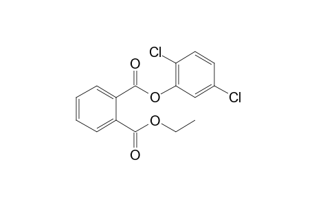 Phthalic acid, 2,5-dichlorophenyl ethyl ester