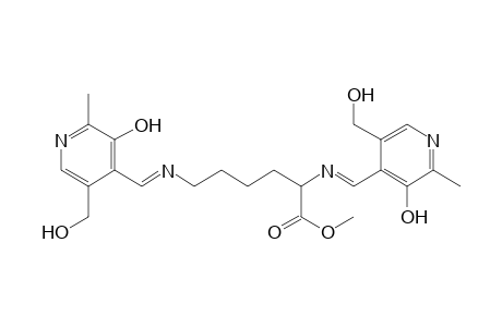 DL-Lysine, N2,N6-bis[[3-hydroxy-5-(hydroxymethyl)-2-methyl-4-pyridinyl]methylene]-, methyl ester, (E,E)-