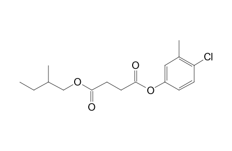 Succinic acid, 4-chloro-3-methylphenyl 2-methylbutyl ester