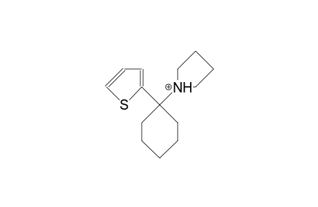 1-Pyrrolidino-1-(2-thienyl)-cyclohexane cation