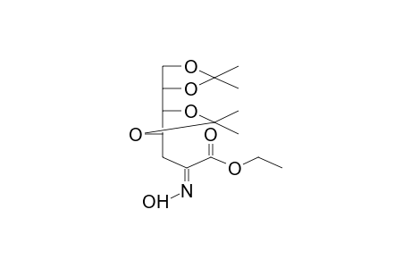 2,3-DIDEOXY-2-HYDROXYIMINO-4,5:6,7-DI-O-ISOPROPYLIDEN-D-ARABINOHEPTONIC ACID, ETHYL ESTER
