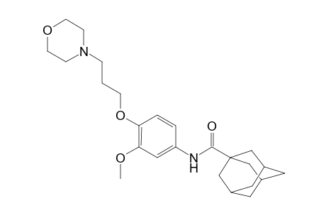 Tricyclo[3.3.1.1(3,7)]decane-1-carboxamide, N-[3-methoxy-4-[3-(4-morpholinyl)propoxy]phenyl]-