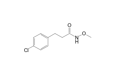 3-(4-Chlorophenyl)-N-methoxy-propanamide