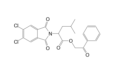 1H-isoindole-2-acetic acid, 5,6-dichloro-2,3-dihydro-alpha-(2-methylpropyl)-1,3-dioxo-, 2-oxo-2-phenylethyl ester