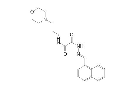 N-[3-(4-morpholinyl)propyl]-2-[(2E)-2-(1-naphthylmethylene)hydrazino]-2-oxoacetamide