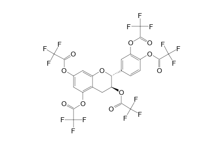 (+)-catechin, pentakis(trifluoroacetate)