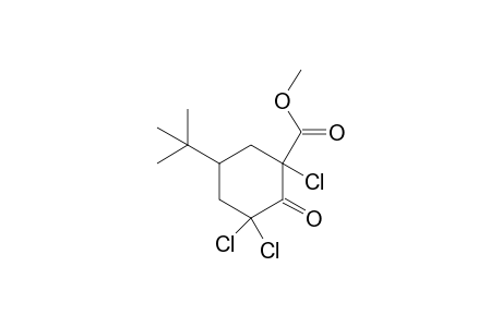 5-tert-butyl-1,3,3-trichloro-2-keto-cyclohexane-1-carboxylic acid methyl ester
