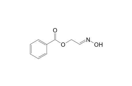 (E)-Benzoic acid 2-hydroxyiminoethyl ester