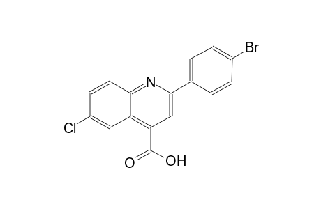 4-quinolinecarboxylic acid, 2-(4-bromophenyl)-6-chloro-