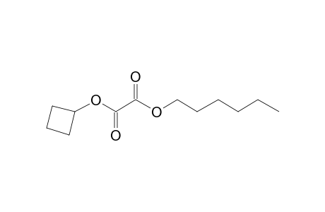 Oxalic acid, cyclobutyl hexyl ester