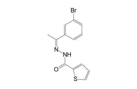 N'-[(Z)-1-(3-bromophenyl)ethylidene]-2-thiophenecarbohydrazide