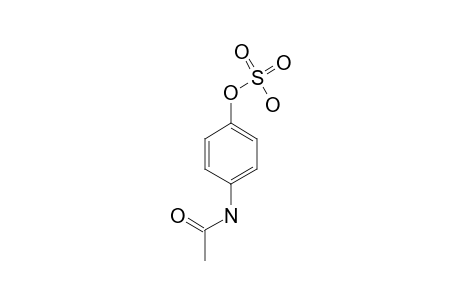 PARACETAMOL_SULFATE