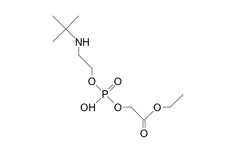 (2-tert-Butylamino-ethyl) ethoxycarbonylmethyl phosphate