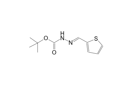 tert-butyl (2E)-2-(2-thienylmethylene)hydrazinecarboxylate