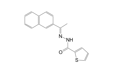 N'-[(E)-1-(2-naphthyl)ethylidene]-2-thiophenecarbohydrazide
