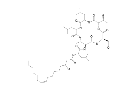 NGERCHEUMICIN-H