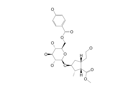 OVATIC-ACID-METHYLESTER-7-O-(6'-O-PARA-HYDROXYBENZOYL)-BETA-D-GLUCOPYRANOSIDE