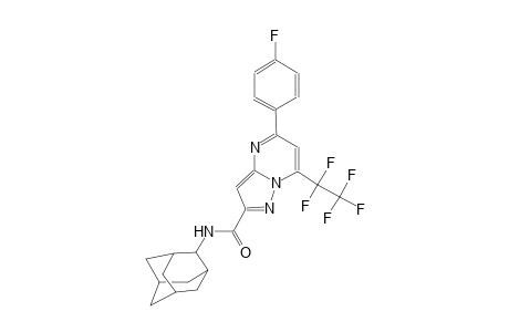 N-(2-adamantyl)-5-(4-fluorophenyl)-7-(1,1,2,2,2-pentafluoroethyl)pyrazolo[1,5-a]pyrimidine-2-carboxamide
