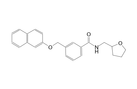 3-[(2-naphthyloxy)methyl]-N-(tetrahydro-2-furanylmethyl)benzamide