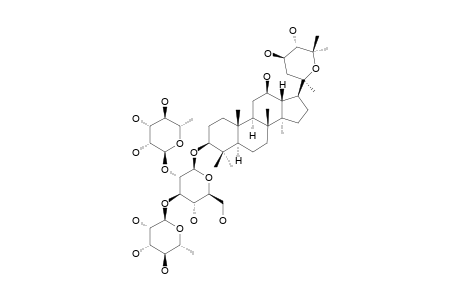 NEOALSOSIDE_M2