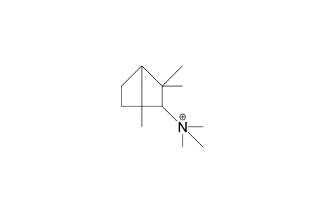 endo-2-Trimethylammonia-1,3,3-trimethyl-bicyclo(2.2.1)heptane cation