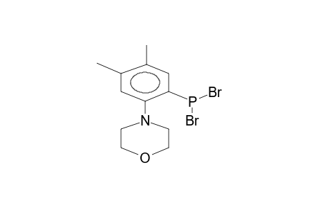 4,5-DIMETHYL-2-MORPHOLINOPHENYLDIBROMOPHOSPHINE