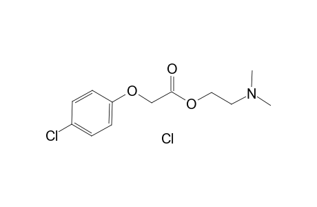 Centrophenoxine hydrochloride