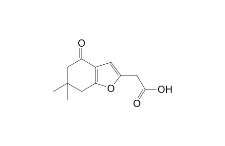 6,6-dimethyl-4-oxo-4,5,6,7-tetrahydro-2-benzofuranacetic acid